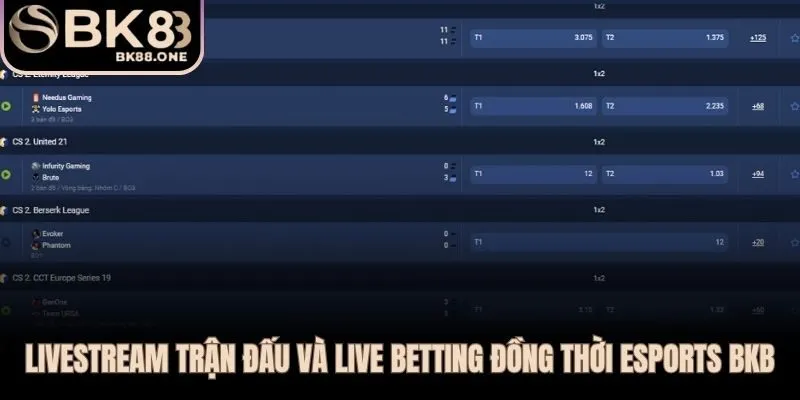 Xem trực tiếp và đặt cược song song ngay trên cùng giao diện